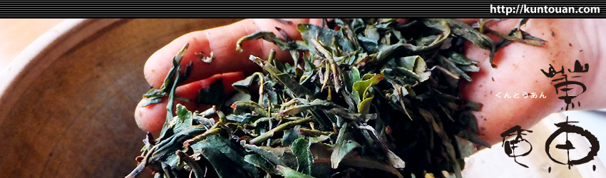 茶農家・樋口晶美氏訪問「手づくり紅茶体験」