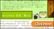 日本茶体験イベントポスター