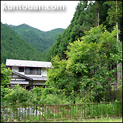 薫東庵分室（東吉野村）の茶畑